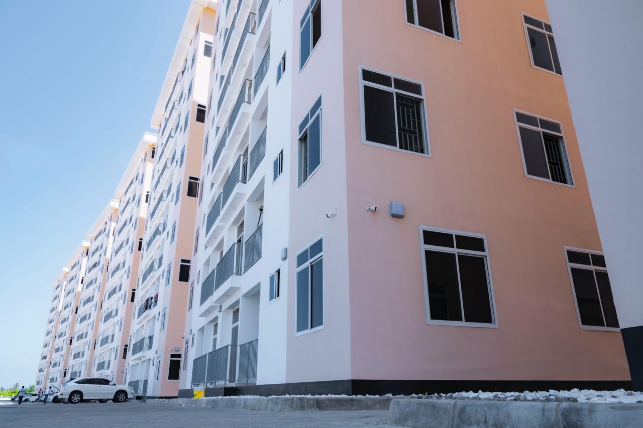 WhatsApp Image 2026-02-12 at 12.37.28