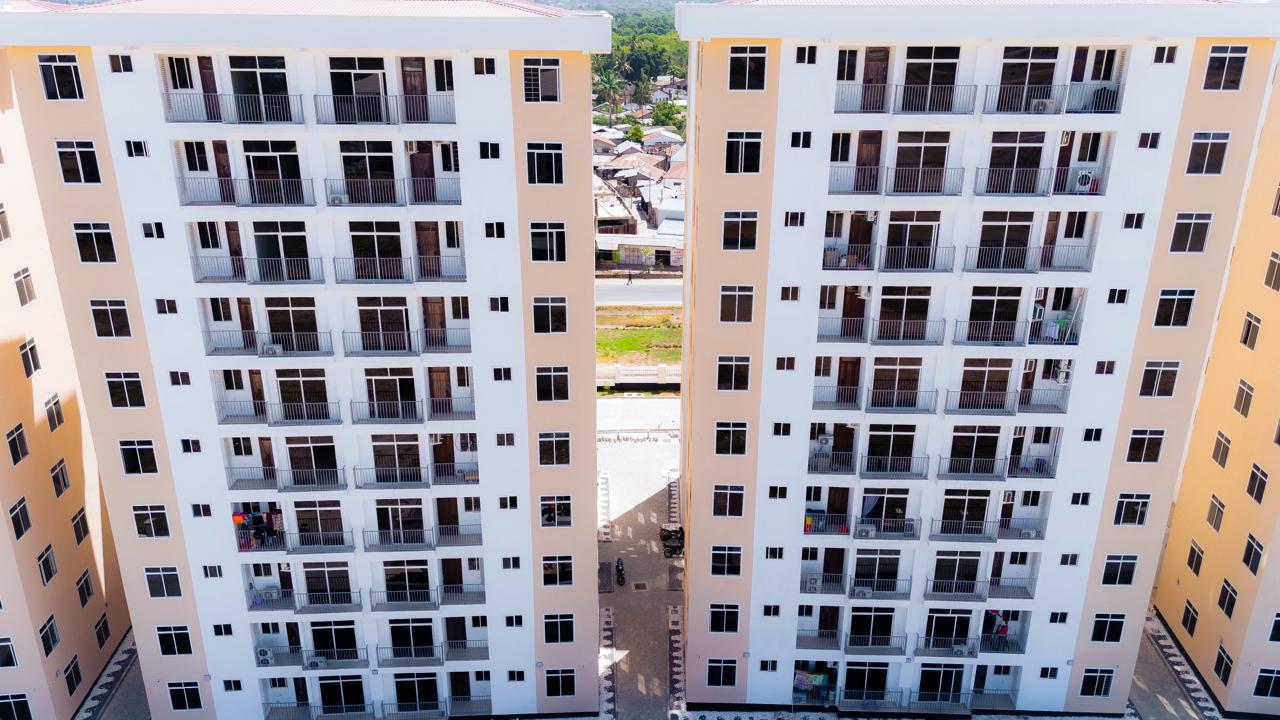 WhatsApp Image 2026-02-12 at 12.37.29